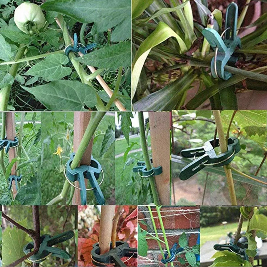 Plantenclips kliksluiting plastic