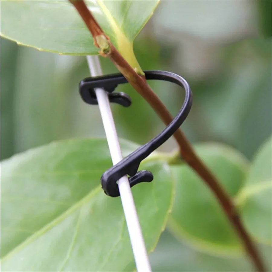 Plastic Plant Clips for Vines, Grapes, and Vegetables