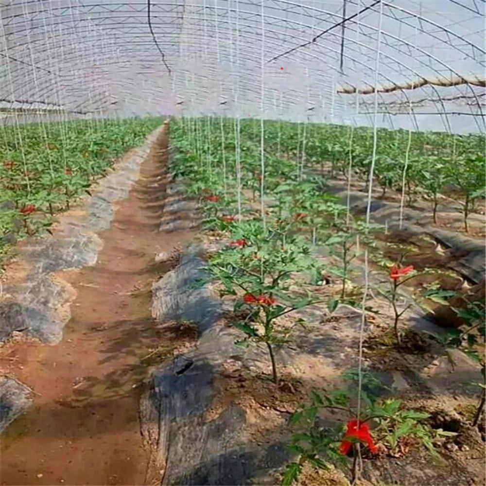 Plantensteun Clips voor Moestuin en Klimplanten