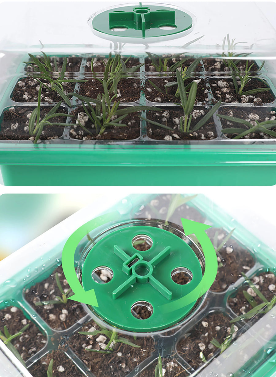 Zaaitray met LED groeilicht en ventilatie