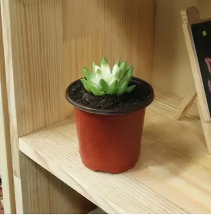 Kunststof Kweekbak Valbestendig voor Zaailingen