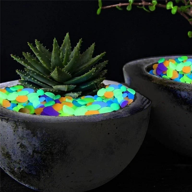 Decoratiestenen glow in the dark tuin aquarium