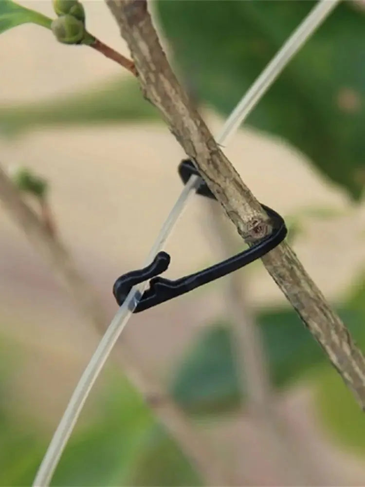 Plastic Plant Clips for Vines, Grapes, and Vegetables