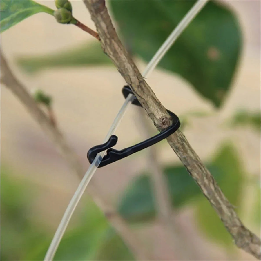 Plastic Plant Clips for Vines, Grapes, and Vegetables