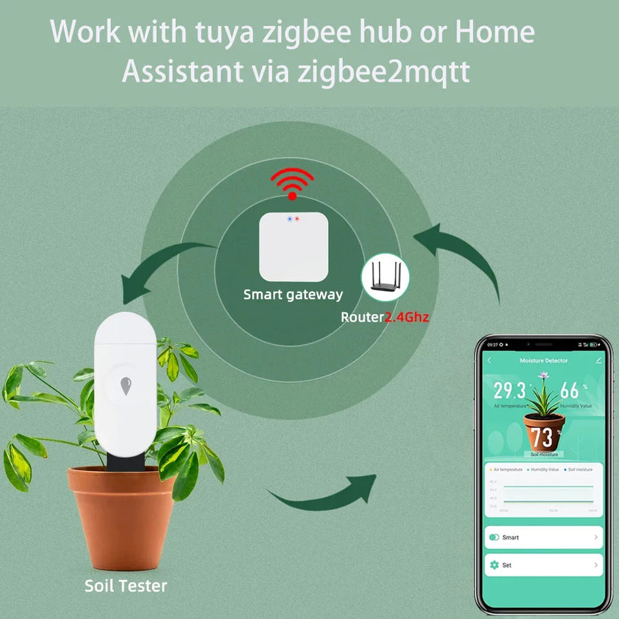 Tuya Zigbee Soil Moisture, Temperature, and Humidity Sensor