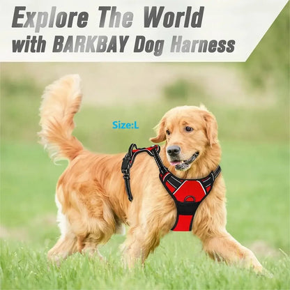 Harnas halsband en riem set hond