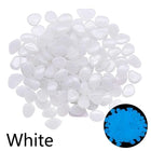 Decoratiestenen glow in the dark tuin aquarium