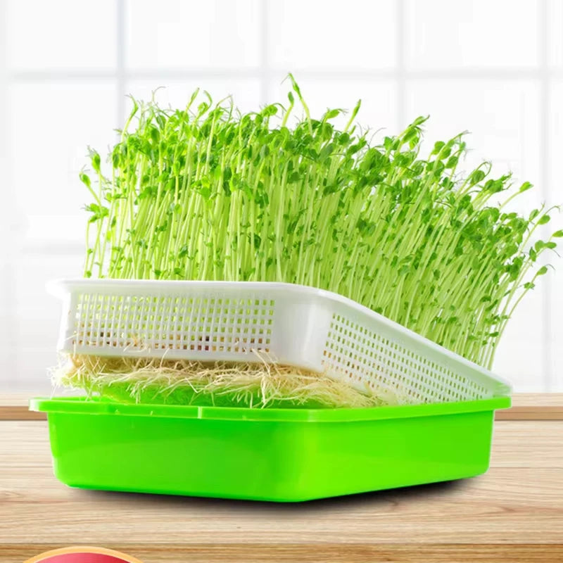 Kweektray kunststof soilless kiemplantjes spruiten
