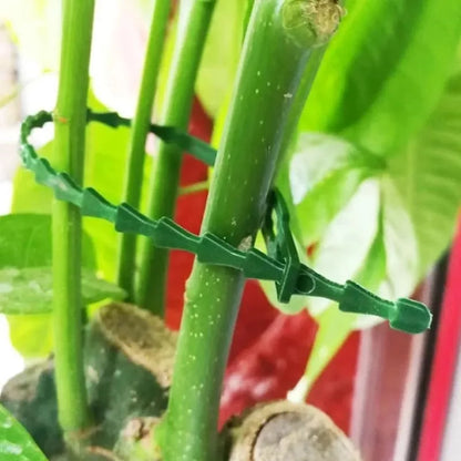 Uitschuifbare Herbruikbare Plant Kabelbinders