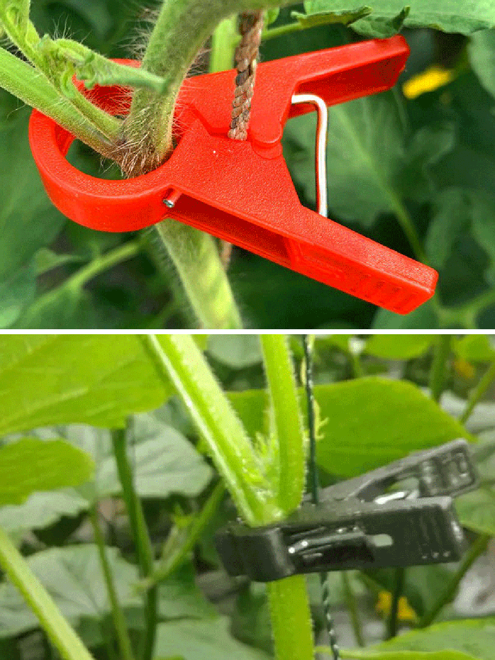 Plantensteun Clips voor Moestuin en Klimplanten