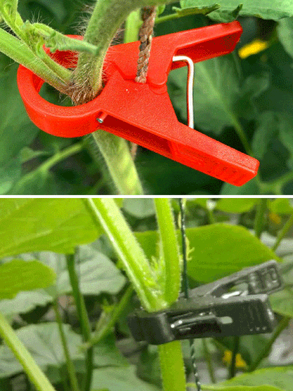 Plantensteun Clips voor Moestuin en Klimplanten