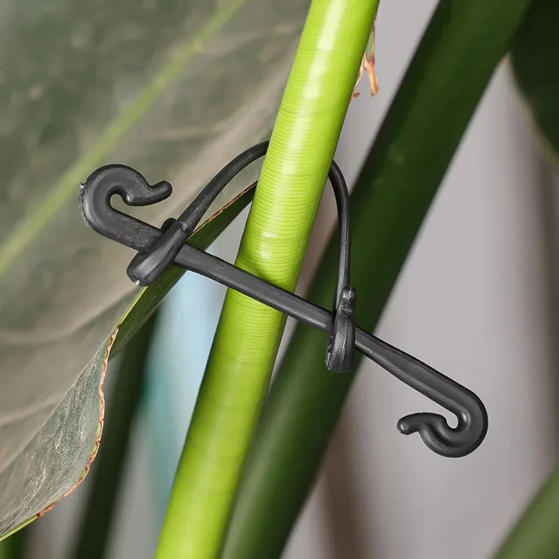 Plantklemmen 50/100 stuks kunststof zwart