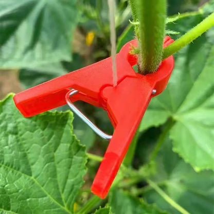 Plantensteun Clips voor Moestuin en Klimplanten