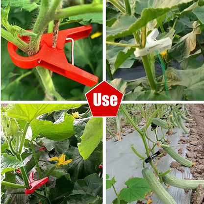 Plantensteun Clips voor Moestuin en Klimplanten