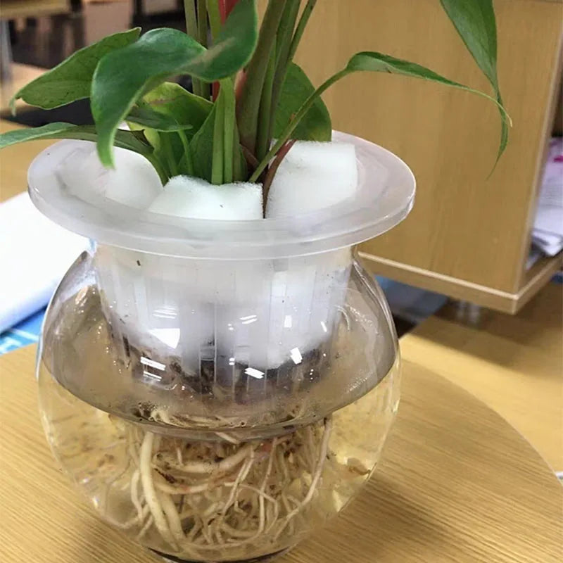 Hydroponische Kweekset met Mesh Potten en Sponzen (50 stuks)