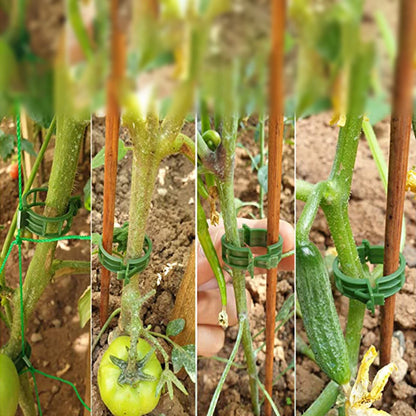 100 Kunststof Plantbevestigingsclips