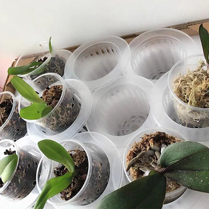 Hydroponische Kweekset met Mesh Potten en Sponzen (50 stuks)