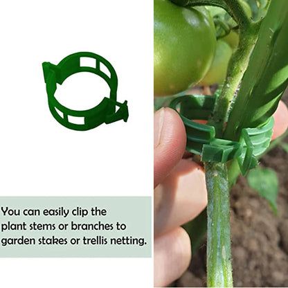 100 Kunststof Plantbevestigingsclips