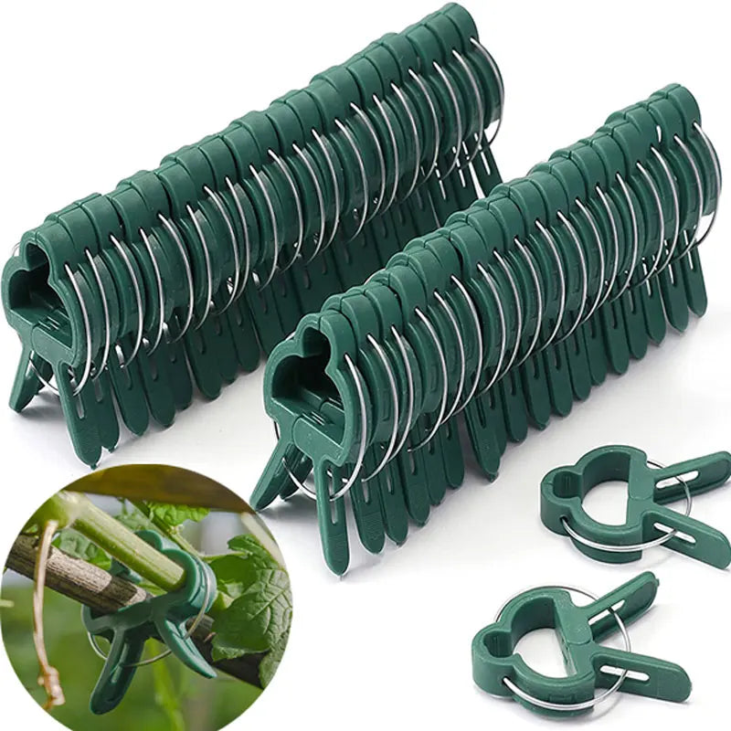 Plantenclips kliksluiting plastic