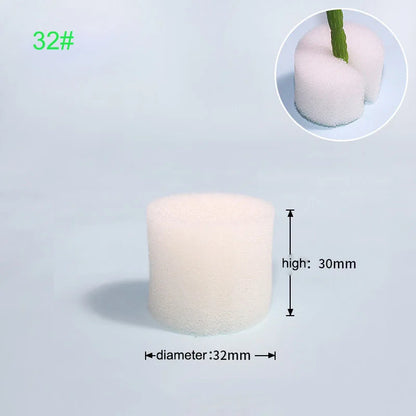 Hydroponische Kweekset met Mesh Potten en Sponzen (50 stuks)