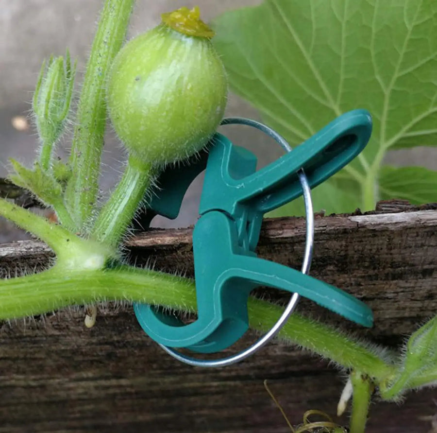 Plantenclips kliksluiting plastic