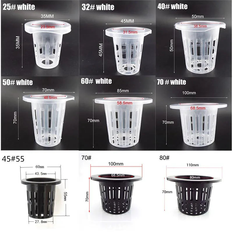 Hydroponische Kweekset met Mesh Potten en Sponzen (50 stuks)