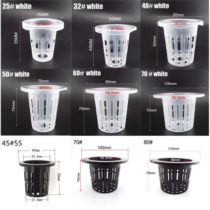 Hydroponische Kweekset met Mesh Potten en Sponzen (50 stuks)