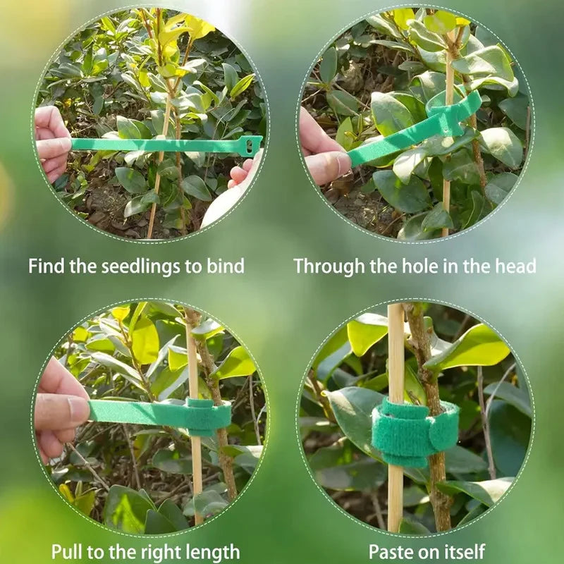 Klittenband Binders voor Planten en Tuin, 100 Stuks