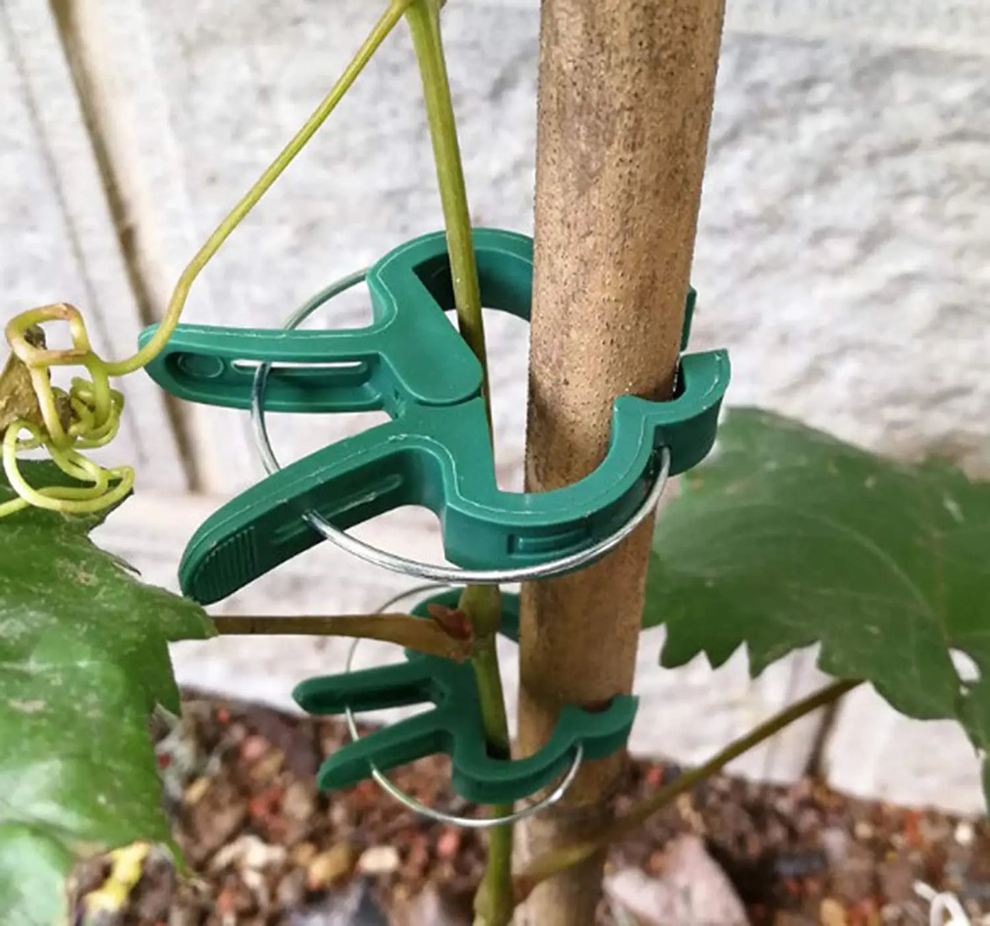 Herbruikbare Plantclips voor Klimplanten