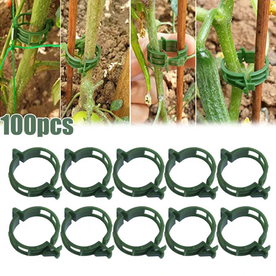 Plantenclips verstelbaar kunststof 100 stuks