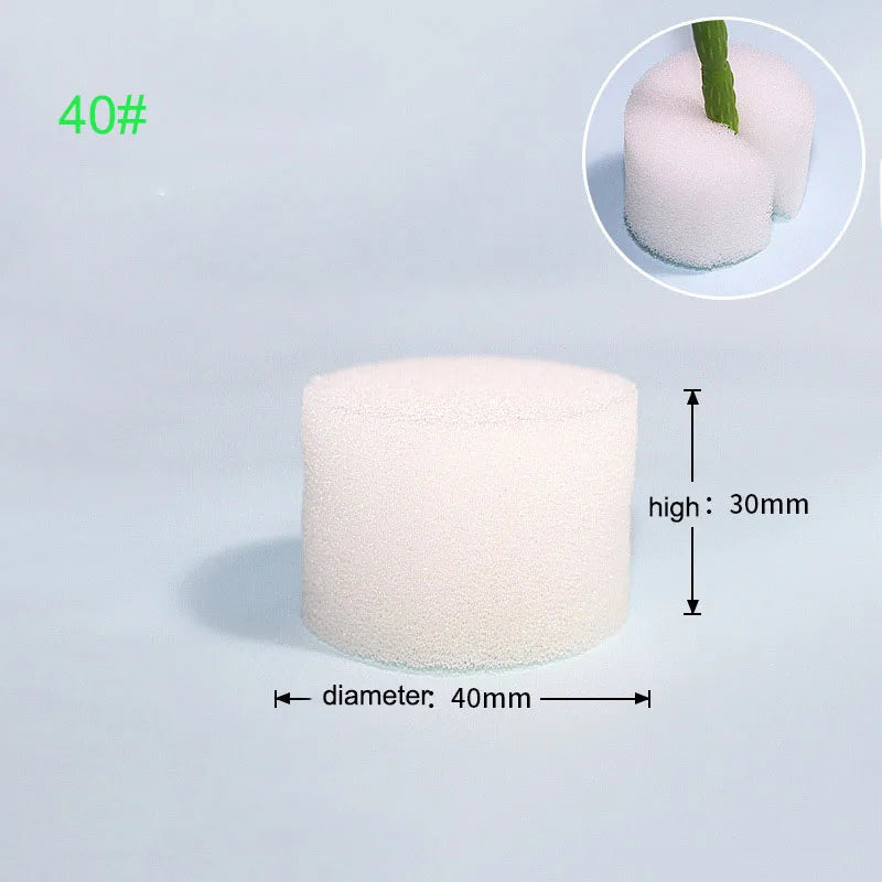 Hydroponische Kweekset met Mesh Potten en Sponzen (50 stuks)