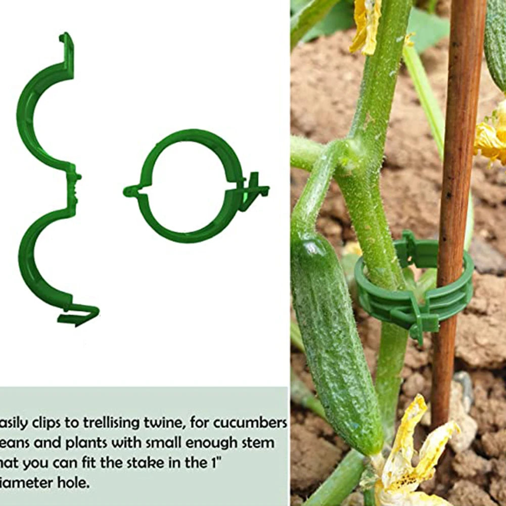 100 Kunststof Plantbevestigingsclips