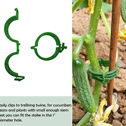 100 Kunststof Plantbevestigingsclips