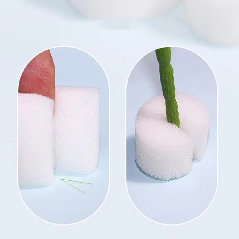 Hydroponische Kweekset met Mesh Potten en Sponzen (50 stuks)