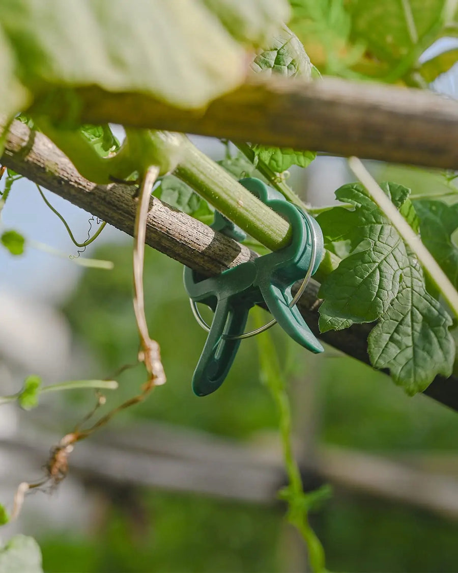 Plantenclips kliksluiting plastic