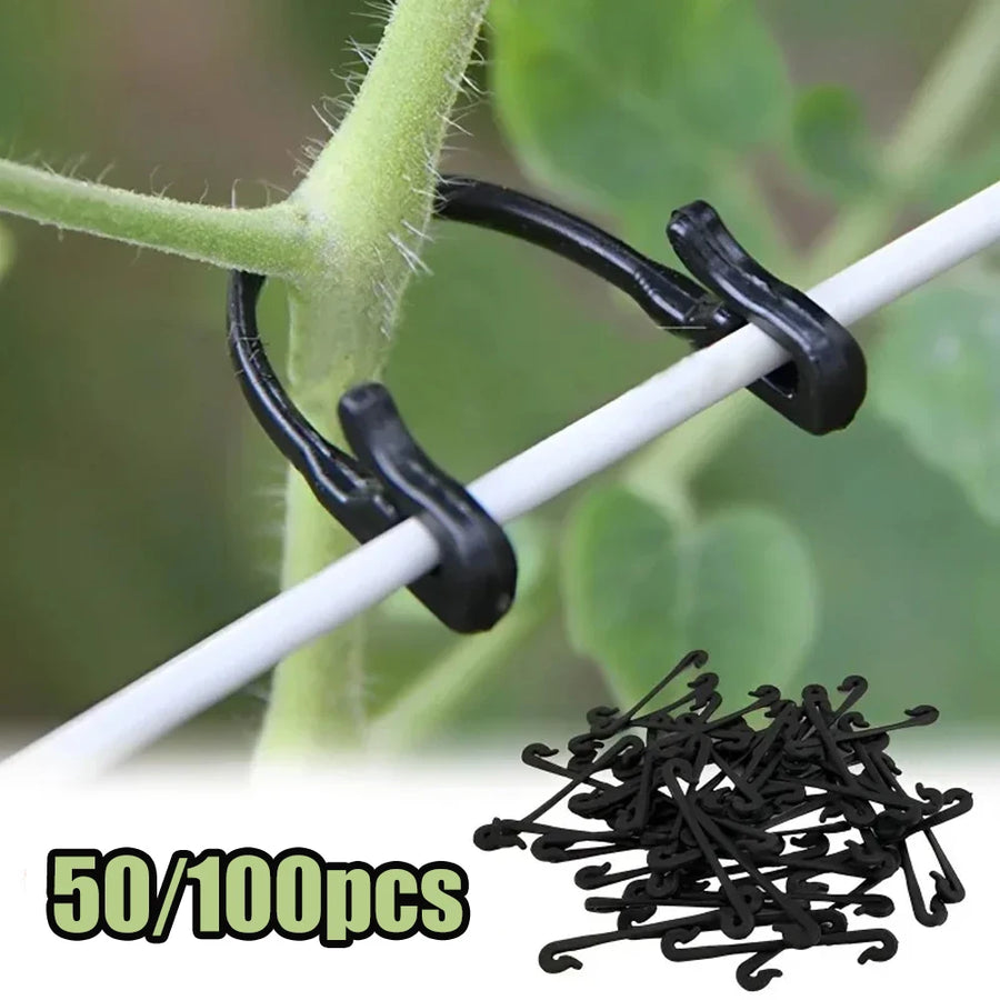 Plantklemmen 50/100 stuks kunststof zwart