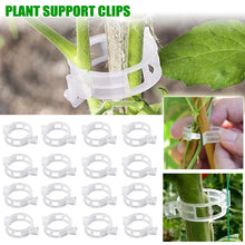 Herbruikbare Plantenclips voor Klimplanten