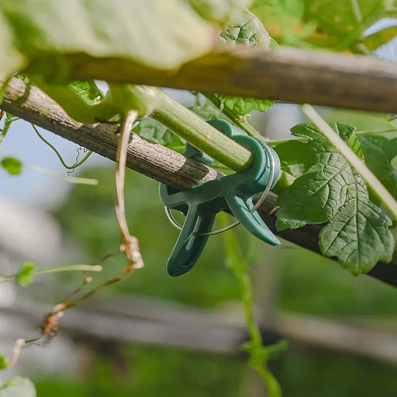 Plantenclips kliksluiting plastic