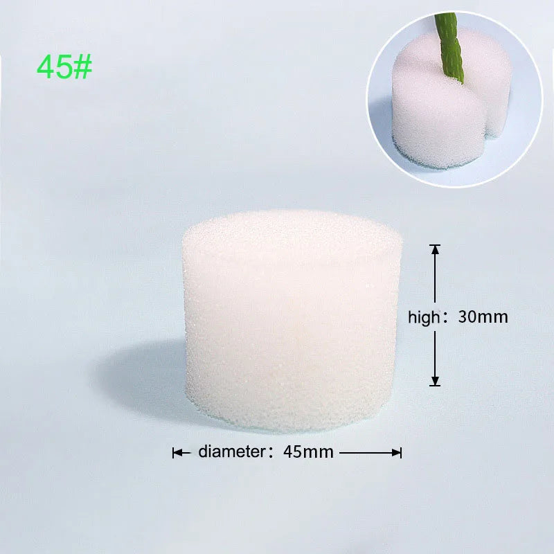 Hydroponische Kweekset met Mesh Potten en Sponzen (50 stuks)