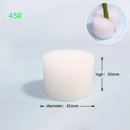 Hydroponische Kweekset met Mesh Potten en Sponzen (50 stuks)