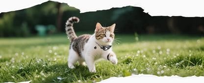 GPS tracker halsband huisdier waterdicht