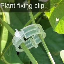 Herbruikbare Plantenclips voor Groenten en Tuinplanten
