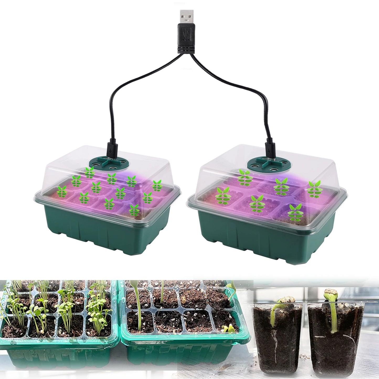Zaaitray met LED groeilicht en ventilatie