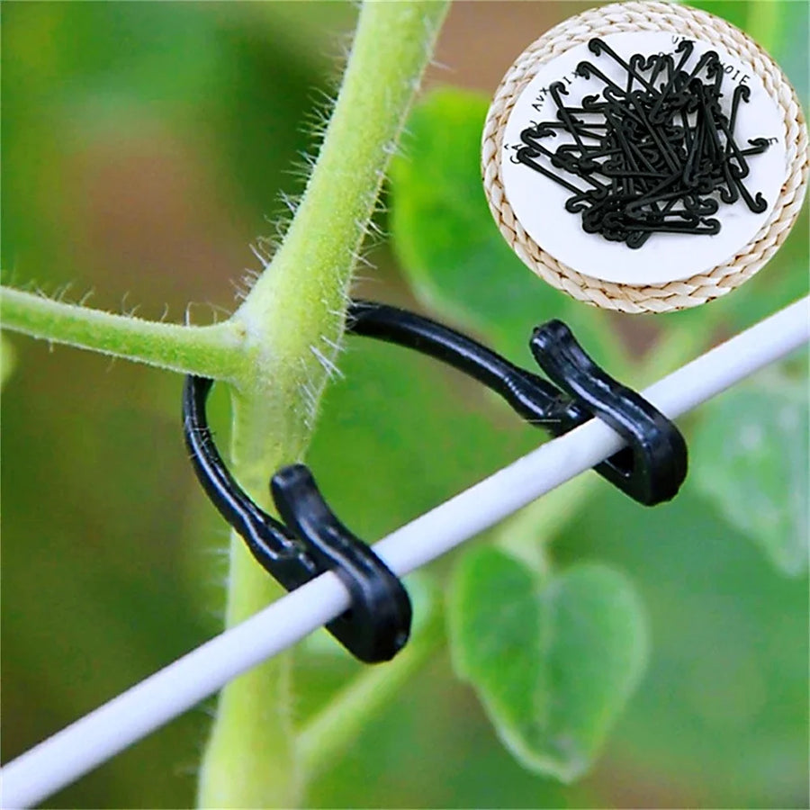 Plastic Plant Clips for Vines, Grapes, and Vegetables