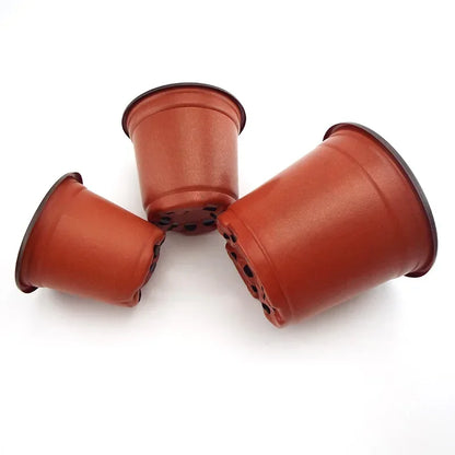 Kunststof Kweekbak Valbestendig voor Zaailingen