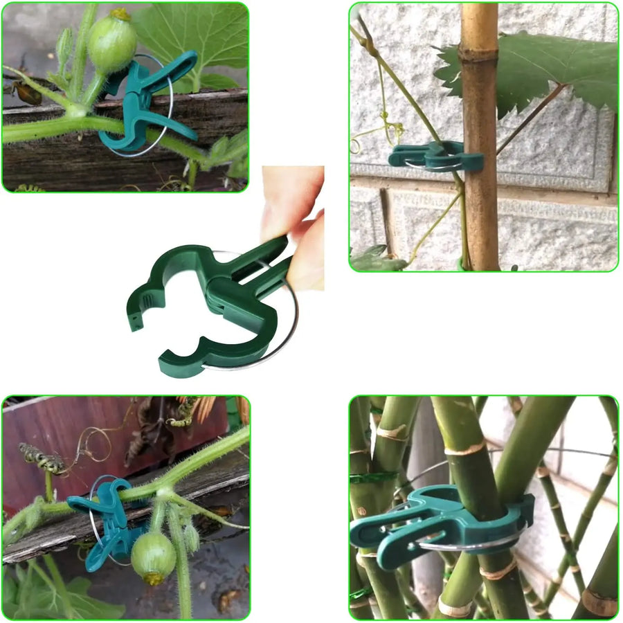 Plantenclips kliksluiting plastic