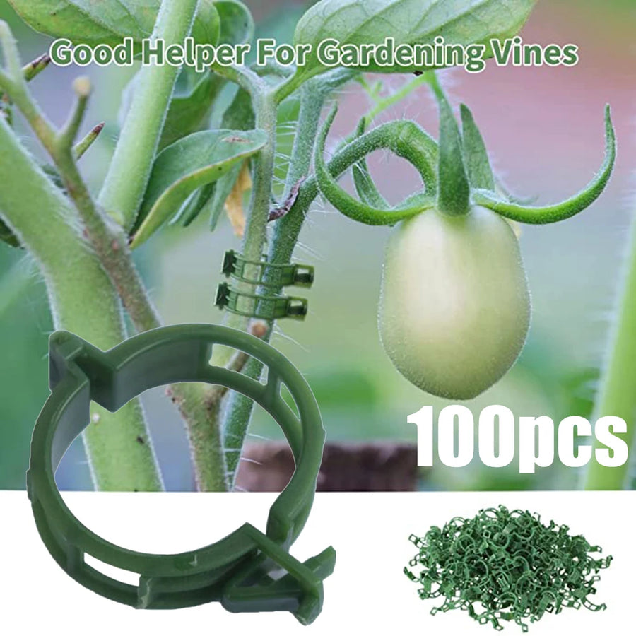Plantenclips verstelbaar kunststof 100 stuks