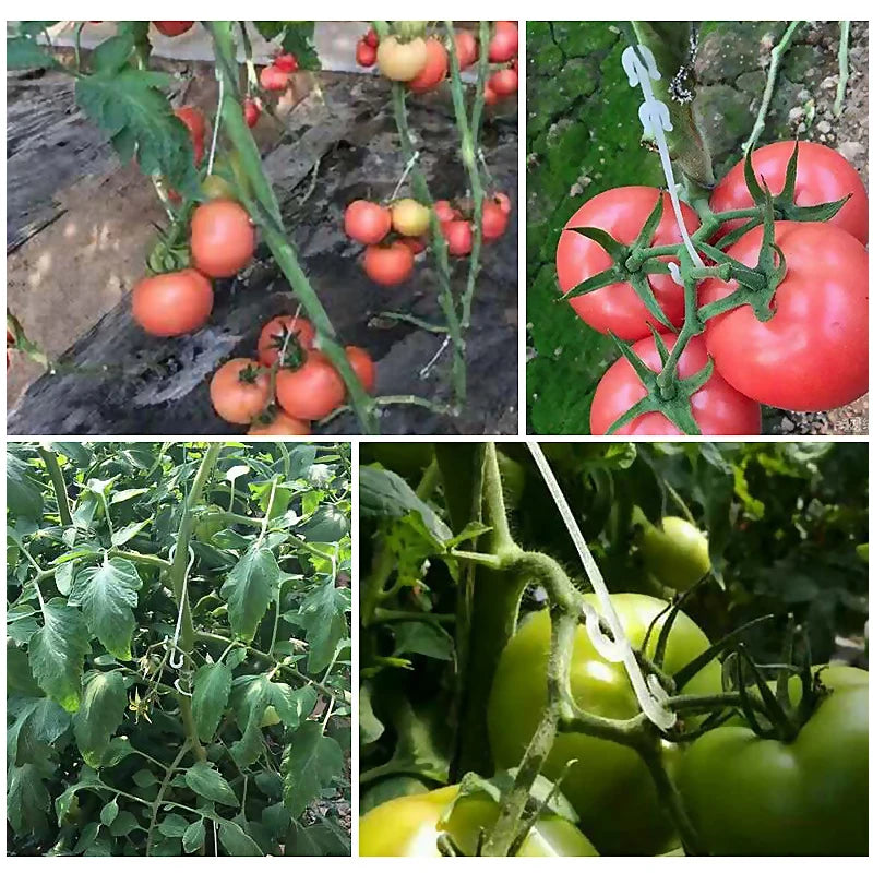 J-vormige Plantenclips