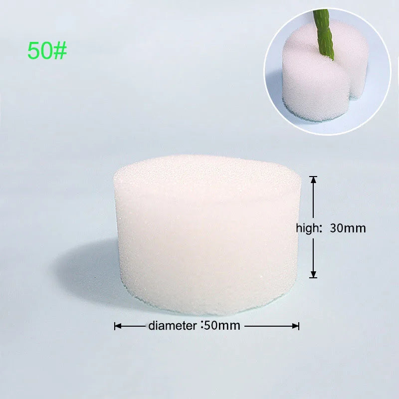 Hydroponische Kweekset met Mesh Potten en Sponzen (50 stuks)