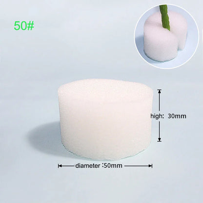 Hydroponische Kweekset met Mesh Potten en Sponzen (50 stuks)